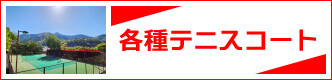 各種テニスコート