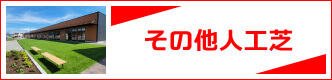 その他人工芝